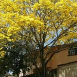 Flor Rosado - @flor.rosado.98622 - Instagram