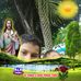 Flor Rosado - Facebook