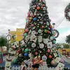 Flor Rosado - @flor.rosado6 - TikTok