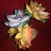 Flor de Rosas - Facebook