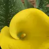 Flor Ross - @flor.ross4 - TikTok