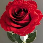 Flor Serrano - Facebook