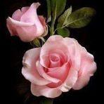 Flor Serrano - Facebook