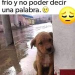 Flor Solares - @flowersolares86 - Instagram