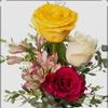 Flor Solares - @flor.solares58 - TikTok