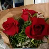 Flor De Maria tomas - @flor.de.maria.tom - TikTok