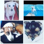flor tomas lila pepita - @flor.tomi.lila.pepita_ - Instagram