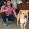 Flor Toro - @flor.toro37 - TikTok
