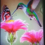Flor Torrez - Facebook