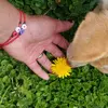 Flor torrez - @florpelaes - TikTok