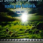 Flor Vaca - @este.r6093 - Instagram