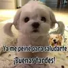 Flor Valadez - @flor.valadez23 - TikTok
