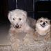 Flor Valles - Facebook