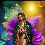 Flor Villa - Facebook