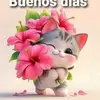 Flor Villa - @florvilla017 - TikTok