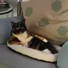 Sassypants - @florawatson5 - TikTok