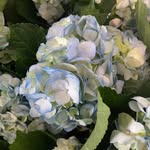 J. Abbott Floral - @j.abbottfloral - Instagram