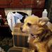 Flora Adkins - Facebook
