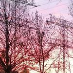 Flora Adler - @unicorn_346578 - Instagram