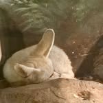 Flora Adler - @dears.her - Instagram