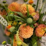 Albright Blooms Floral - @albrightbloomsfloral - Instagram