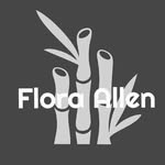 Flora Allen - @flora_allen_official - Instagram
