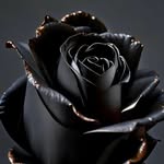 Flora - @_flora_angel__ - Instagram