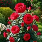 Flora Avalos - Facebook