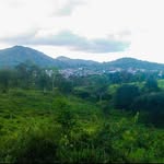 barro preto BA - @flora_barro_preto - Instagram