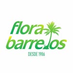 Flora Barretos - @florabarretos - Instagram