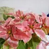 Flora Barrios388 - @florabarrios388 - TikTok