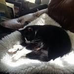 Flora O Blake - @floraoblake1801 - Instagram