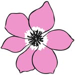 Flora Blumengroßhandel - @flora_blumengrosshandel - Instagram