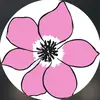 Flora Blumengroßhandel - @florablumen - TikTok