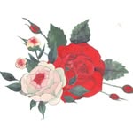 TACOMA, WASHINGTON WEDDING FLORIST - @florablumeeventco - Instagram