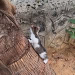 Flora - @florabowen661867 - Instagram
