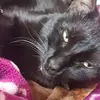 Flora Bravo - @florabravo - TikTok