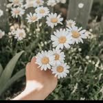 Flora Bravo - @flora.bravo.98837 - Instagram