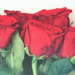 Buchanan Floral - @buchananfloral - Instagram