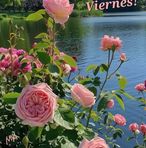 Flora Campos - Facebook