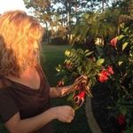 Erin Carey - @erincareyflorals - Instagram
