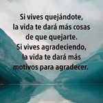 Flora Castro Alvarado - @floracastroalvarado - Instagram
