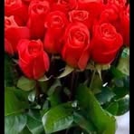 Flora Corona - Facebook