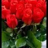 Flora Corona - @flora.corona - TikTok