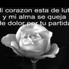 floracorona0 - @floracorona0 - TikTok