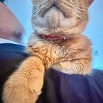 Flora Craig - @deweythecat123 - Instagram