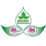 @blumenhausdecker_x_floravinum - Instagram