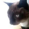 iamflorad - @flora.delaney - TikTok