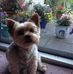 Flo Dixon - Facebook