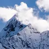 Flora.Dixon Alolking - @flora.dixon.alolk4 - TikTok